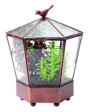 terrarium-jardin-adm